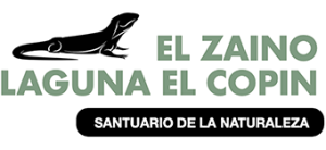 El Zaino Laguna El Copín