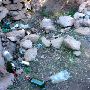 Basuras ©Biotas 2024