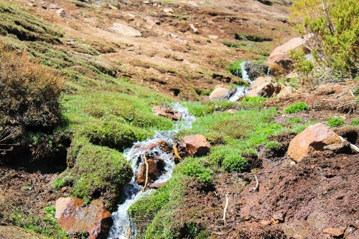 ©J. López ©J. López