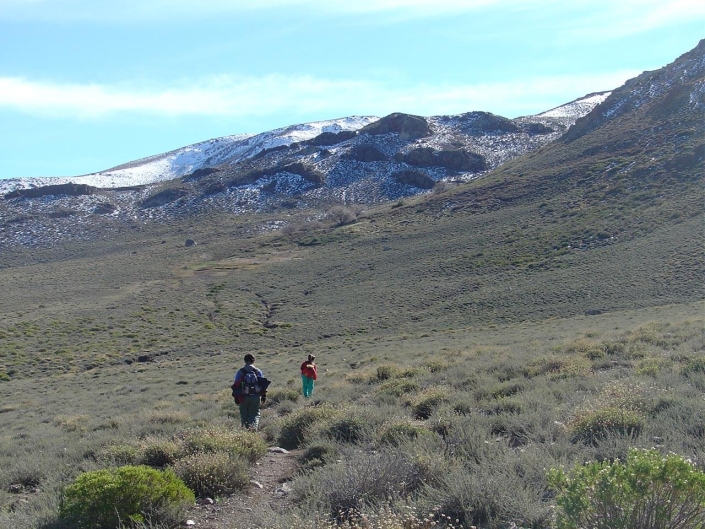 ©J. Razeto ©J. Razeto